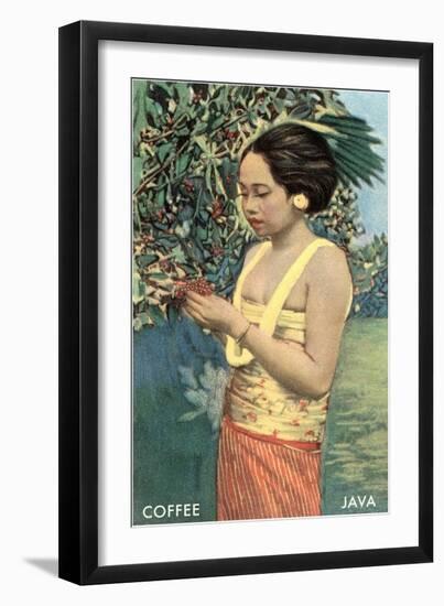 Javanese Girl Picking Coffee-null-Framed Art Print