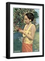 Javanese Girl Picking Coffee-null-Framed Art Print