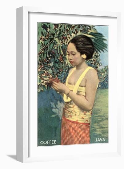 Javanese Girl Picking Coffee-null-Framed Art Print