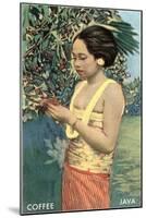 Javanese Girl Picking Coffee-null-Mounted Art Print