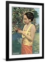 Javanese Girl Picking Coffee-null-Framed Art Print