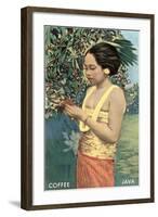 Javanese Girl Picking Coffee-null-Framed Art Print