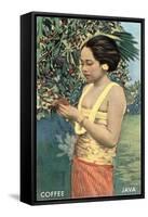 Javanese Girl Picking Coffee-null-Framed Stretched Canvas