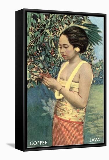 Javanese Girl Picking Coffee-null-Framed Stretched Canvas