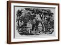 Brown Frame