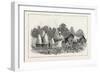 Javanese Labourers Stacking Rice-null-Framed Giclee Print