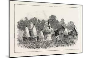 Javanese Labourers Stacking Rice-null-Mounted Giclee Print