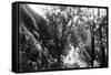 Javanese Landscape-null-Framed Stretched Canvas