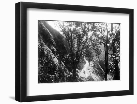 Javanese Landscape-null-Framed Photographic Print