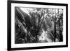 Javanese Landscape-null-Framed Photographic Print