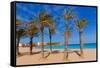 Javea Playa Del Arenal Beach in Mediterranean Alicante at Xabia Spain Palm Trees-holbox-Framed Stretched Canvas