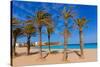 Javea Playa Del Arenal Beach in Mediterranean Alicante at Xabia Spain Palm Trees-holbox-Stretched Canvas