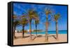 Javea Playa Del Arenal Beach in Mediterranean Alicante at Xabia Spain Palm Trees-holbox-Framed Stretched Canvas