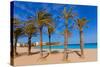 Javea Playa Del Arenal Beach in Mediterranean Alicante at Xabia Spain Palm Trees-holbox-Stretched Canvas