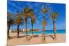 Javea Playa Del Arenal Beach in Mediterranean Alicante at Xabia Spain Palm Trees-holbox-Mounted Photographic Print