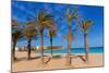 Javea Playa Del Arenal Beach in Mediterranean Alicante at Xabia Spain Palm Trees-holbox-Mounted Photographic Print