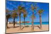 Javea Playa Del Arenal Beach in Mediterranean Alicante at Xabia Spain Palm Trees-holbox-Mounted Photographic Print