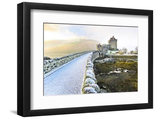 Premium Photographic Print, , large