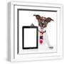 White Frame