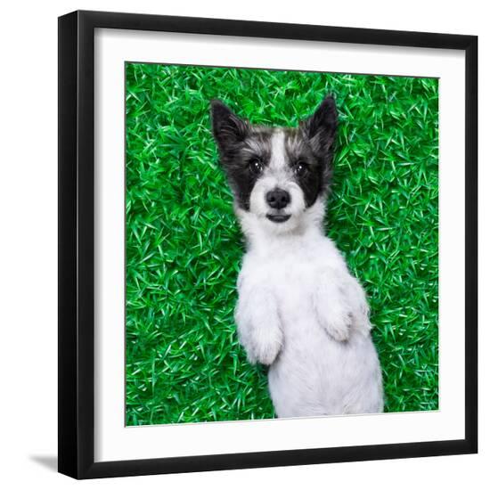 Premium Photographic Print, , large