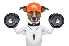 Fitness Dog-Javier Brosch-Photographic Print