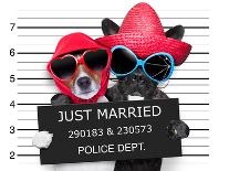 Just Married Mugshot-Javier Brosch-Photographic Print