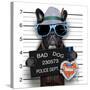 Stretched Canvas