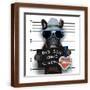 Brown Frame