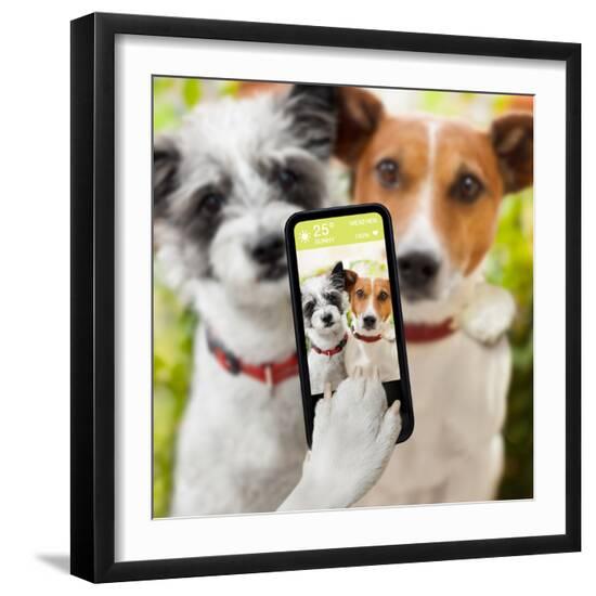 Premium Photographic Print, , large
