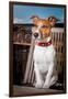 Gramercy Espresso