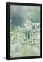 Essential Black