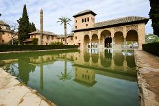 The Partal Gardens of Alhambra in Granada-Javier Sanchez Mingorance-Photographic Print