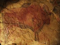 Stone-age Cave Paintings, Chauvet, France-Javier Trueba-Stretched Canvas