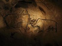 Stone-age Cave Paintings, Chauvet, France-Javier Trueba-Mounted Photographic Print