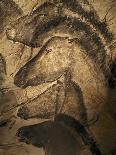 Stone-age Cave Paintings, Chauvet, France-Javier Trueba-Photographic Print