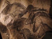 Stone-age Cave Paintings, Chauvet, France-Javier Trueba-Mounted Photographic Print