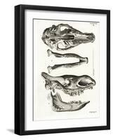 Jaw Bones-null-Framed Giclee Print