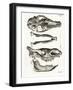 Jaw Bones-null-Framed Giclee Print