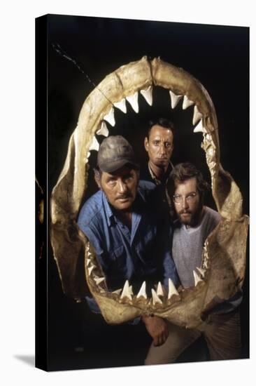 Jaws, Robert Shaw, Roy Scheider, Richard Dreyfuss, Directed by Steven Spielberg, 1975-null-Stretched Canvas