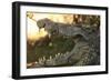 Jaws-Dennis Goodman-Framed Premium Photographic Print