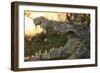 Jaws-Dennis Goodman-Framed Photographic Print