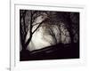 Jaxtag-Sharon Wish-Framed Photographic Print