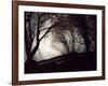 Jaxtag-Sharon Wish-Framed Photographic Print