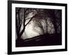 Jaxtag-Sharon Wish-Framed Photographic Print