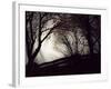 Jaxtag-Sharon Wish-Framed Photographic Print