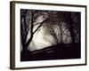 Jaxtag-Sharon Wish-Framed Photographic Print