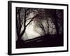 Jaxtag-Sharon Wish-Framed Photographic Print