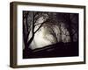 Jaxtag-Sharon Wish-Framed Photographic Print