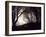 Jaxtag-Sharon Wish-Framed Photographic Print