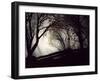 Jaxtag-Sharon Wish-Framed Photographic Print